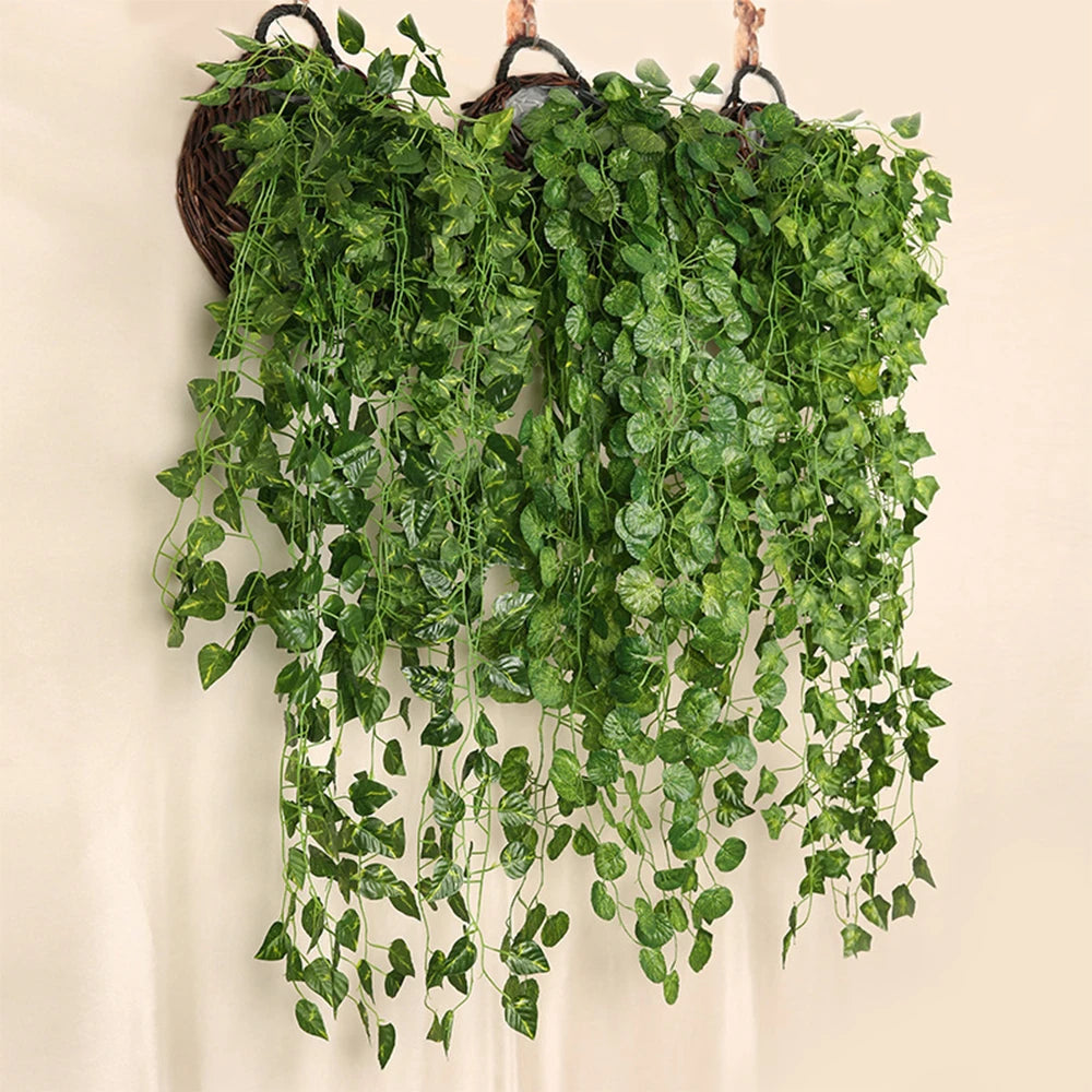 Green wall hanging Vine Leaves