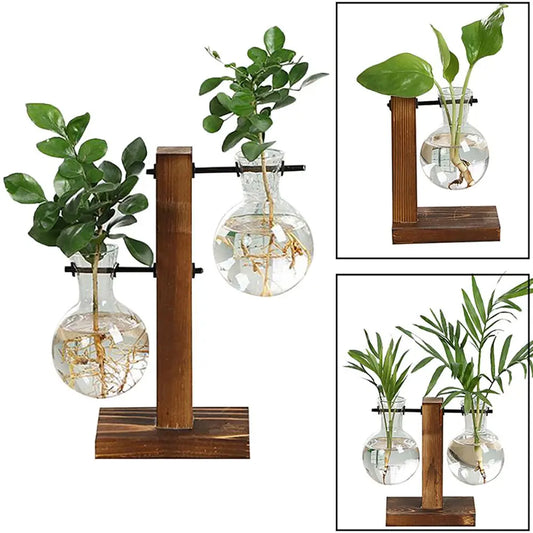 DIY Terrarium Hydroponic Plant Vases