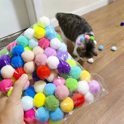 Cat Training Toys