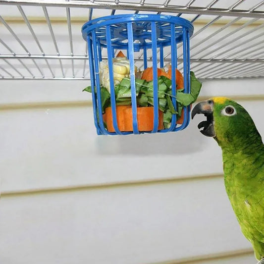 Bird Parrot Feeder