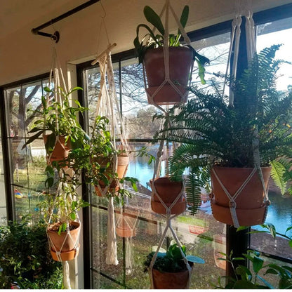 Hanging Plant Hanger