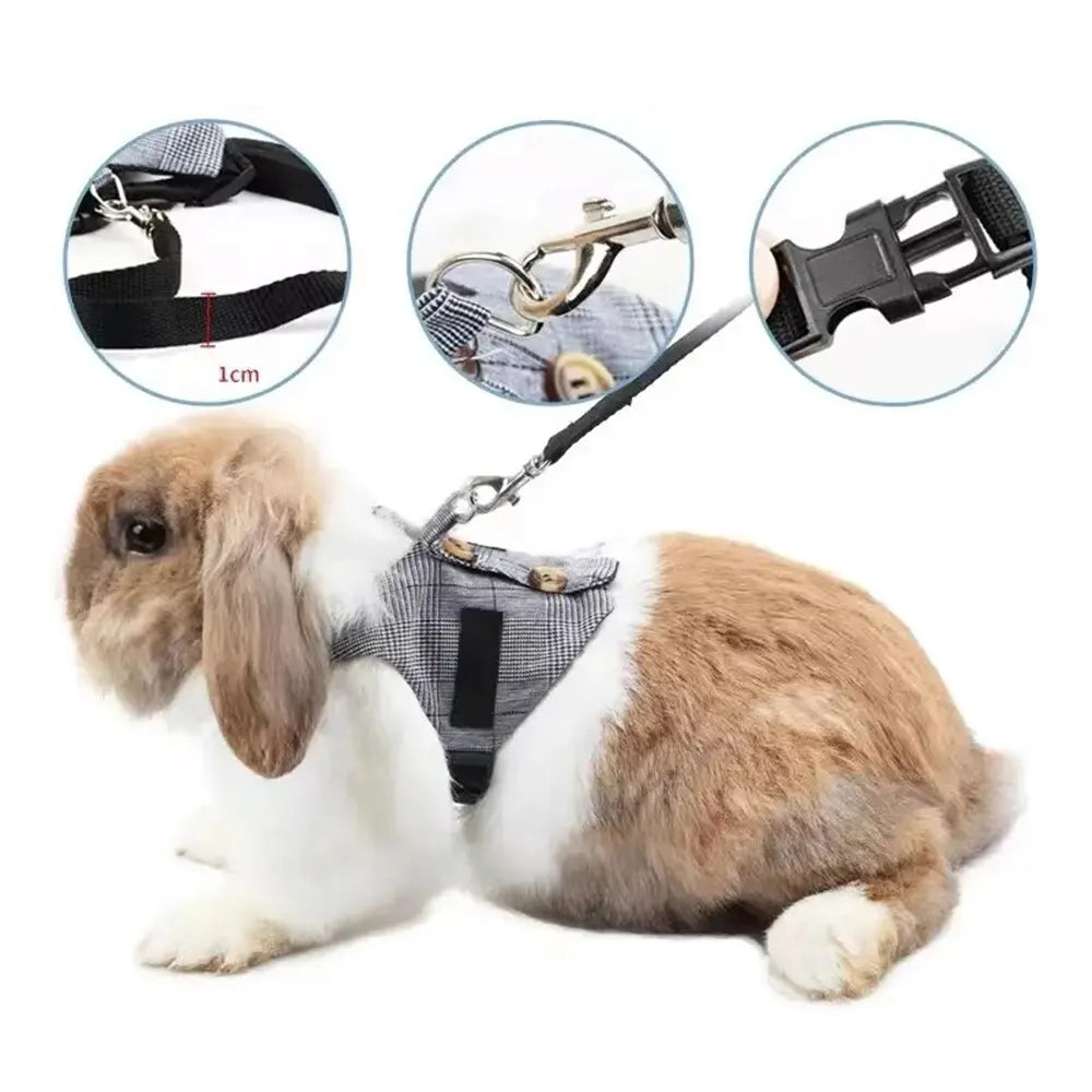 Cute Rabbit Harness and Leash Set