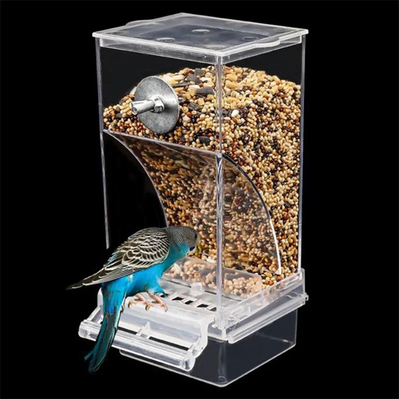 Automatic Parrot Seed Feeders