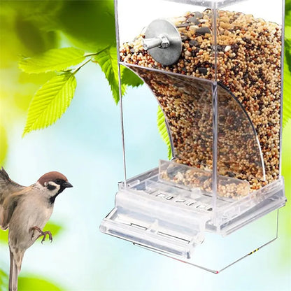 Bird Feeders