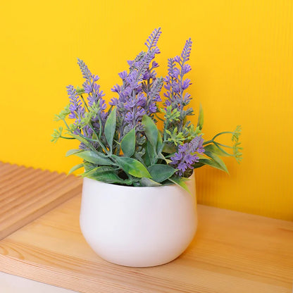 Lavender plant decoration