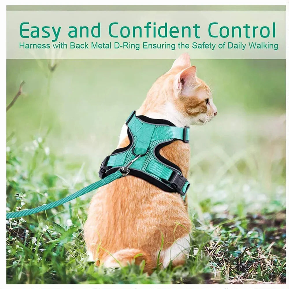 Cat Harness and Leash