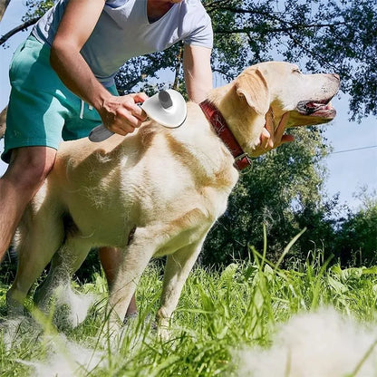 Pet Grooming Brush