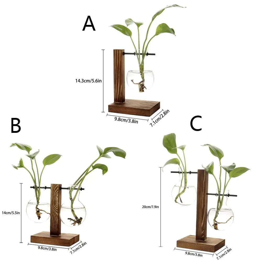 DIY Terrarium Hydroponic Plant Vases