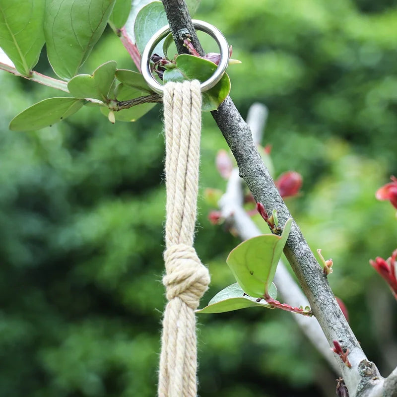 Hanging Plant Hanger