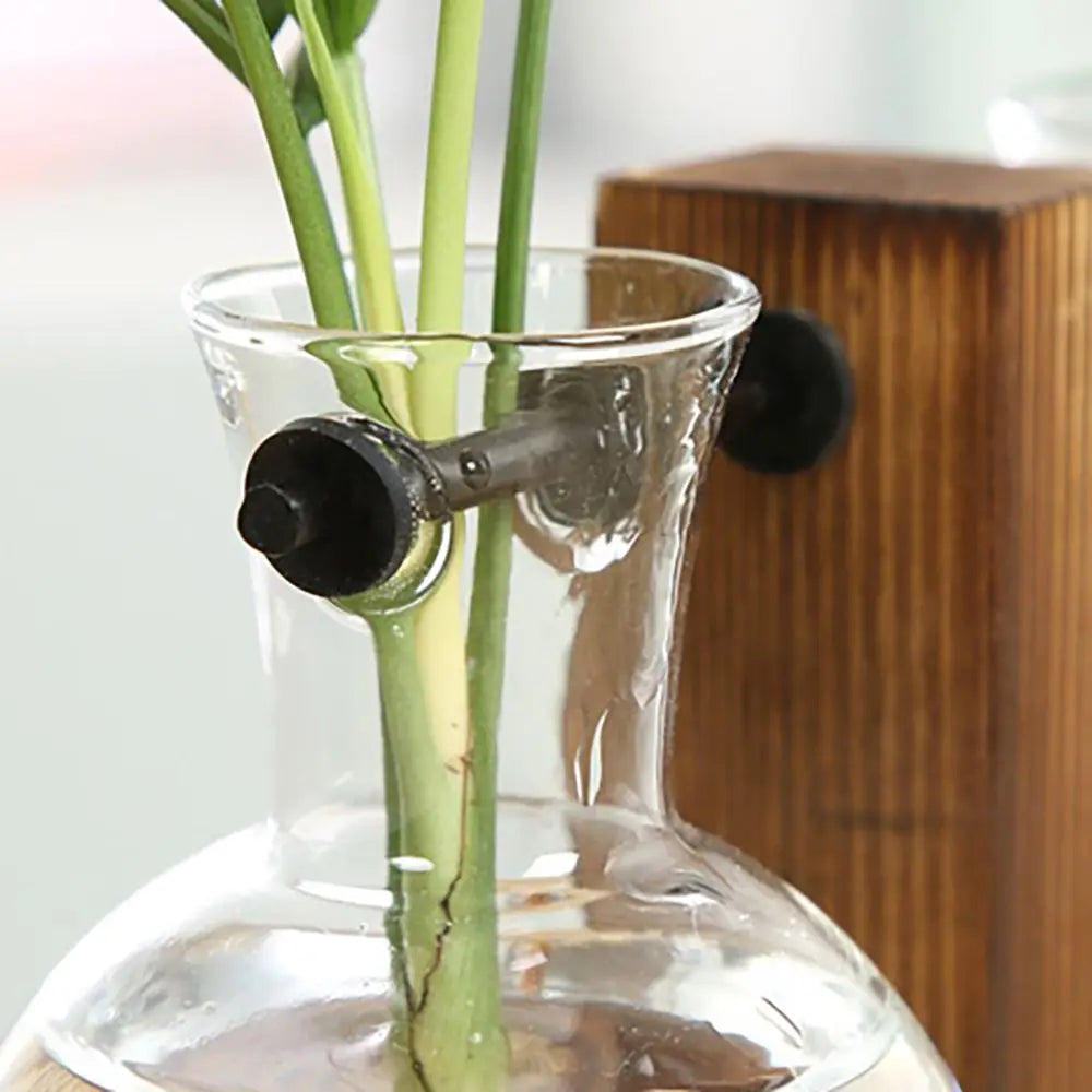 DIY Terrarium Hydroponic Plant Vases