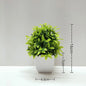 Artificial Plant  Decoration