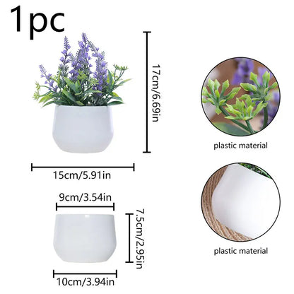 Lavender plant decoration