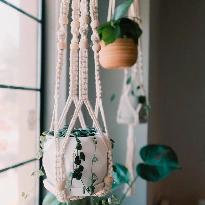 Hanging Plant Hanger