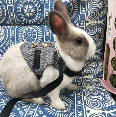 Cute Rabbit Harness and Leash Set