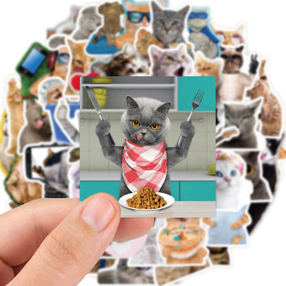 Funny Cat Stickers