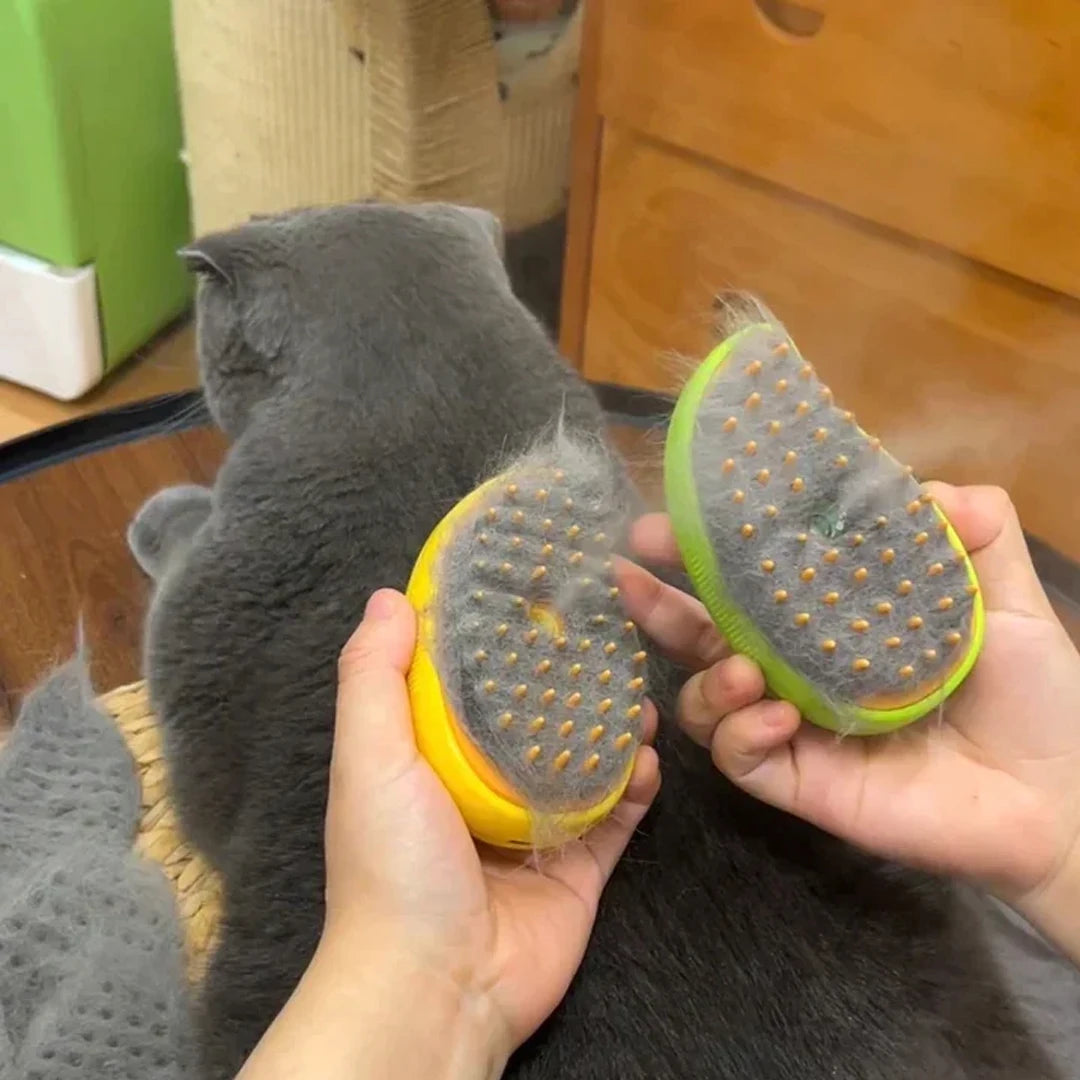 Pets Steam Brush