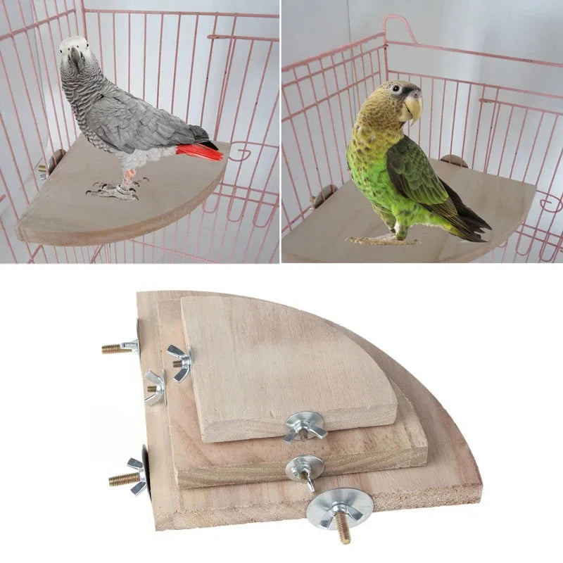 Fan-shaped Bird Parrot Wooden Stand