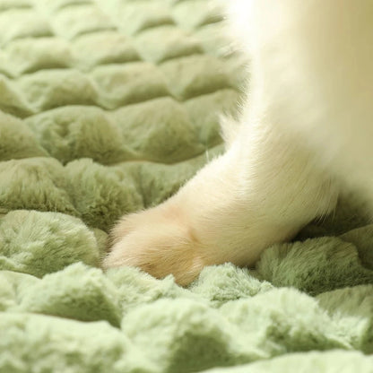 Warm Pet Mat