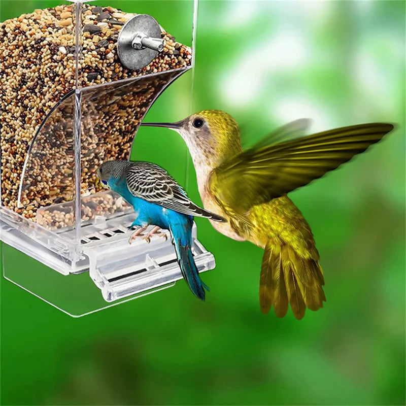 Bird Feeders