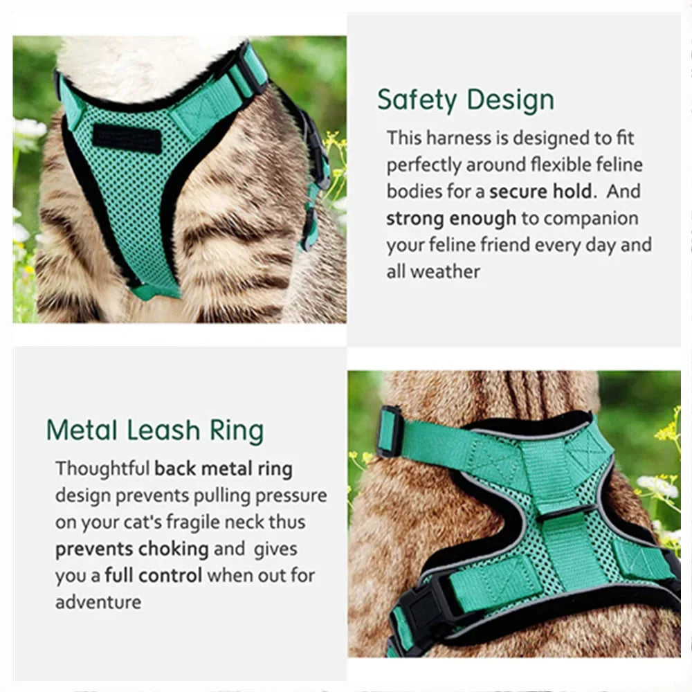 Cat Harness and Leash