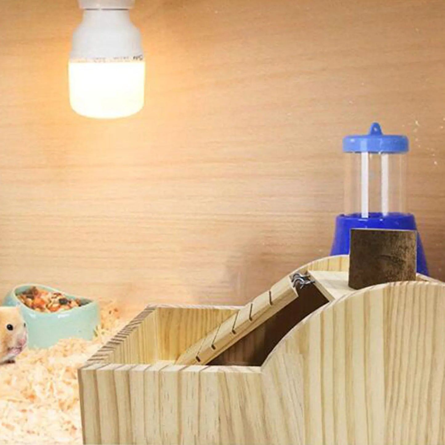 Hamster House Funny Habitat Décor with Ladder