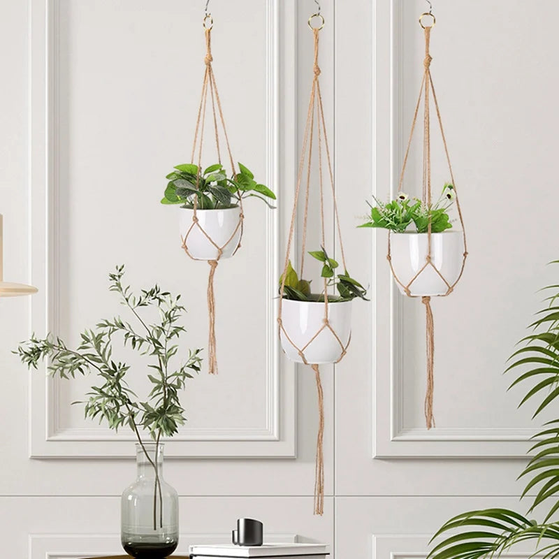 Hanging Plant Hanger