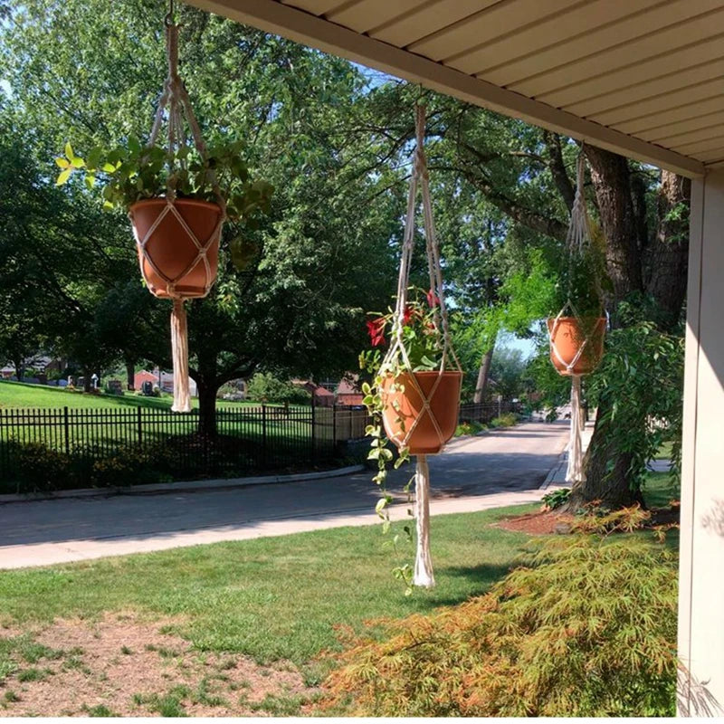 Hanging Plant Hanger