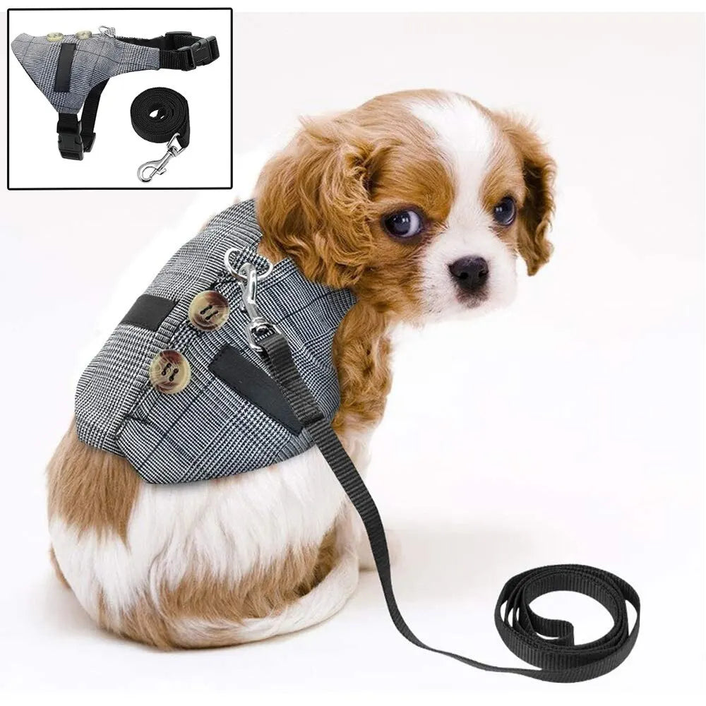 Cute Rabbit Harness and Leash Set