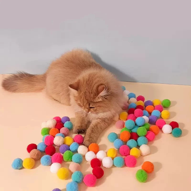 Cat Training Toys