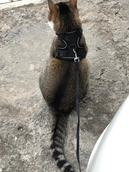 Cat Harness and Leash