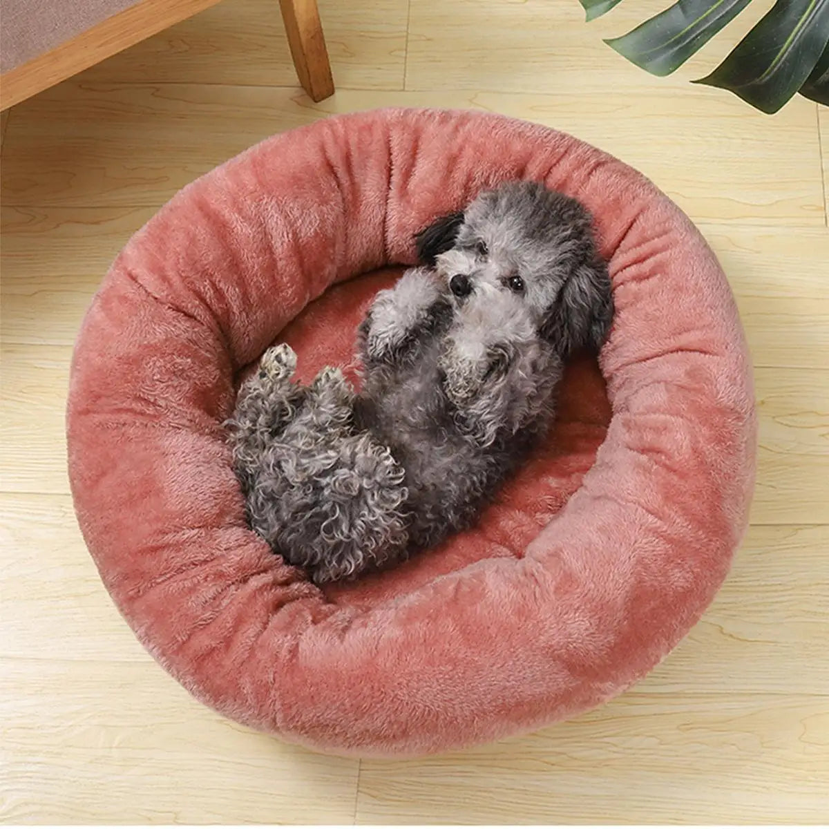 Pet Donut Round Bed