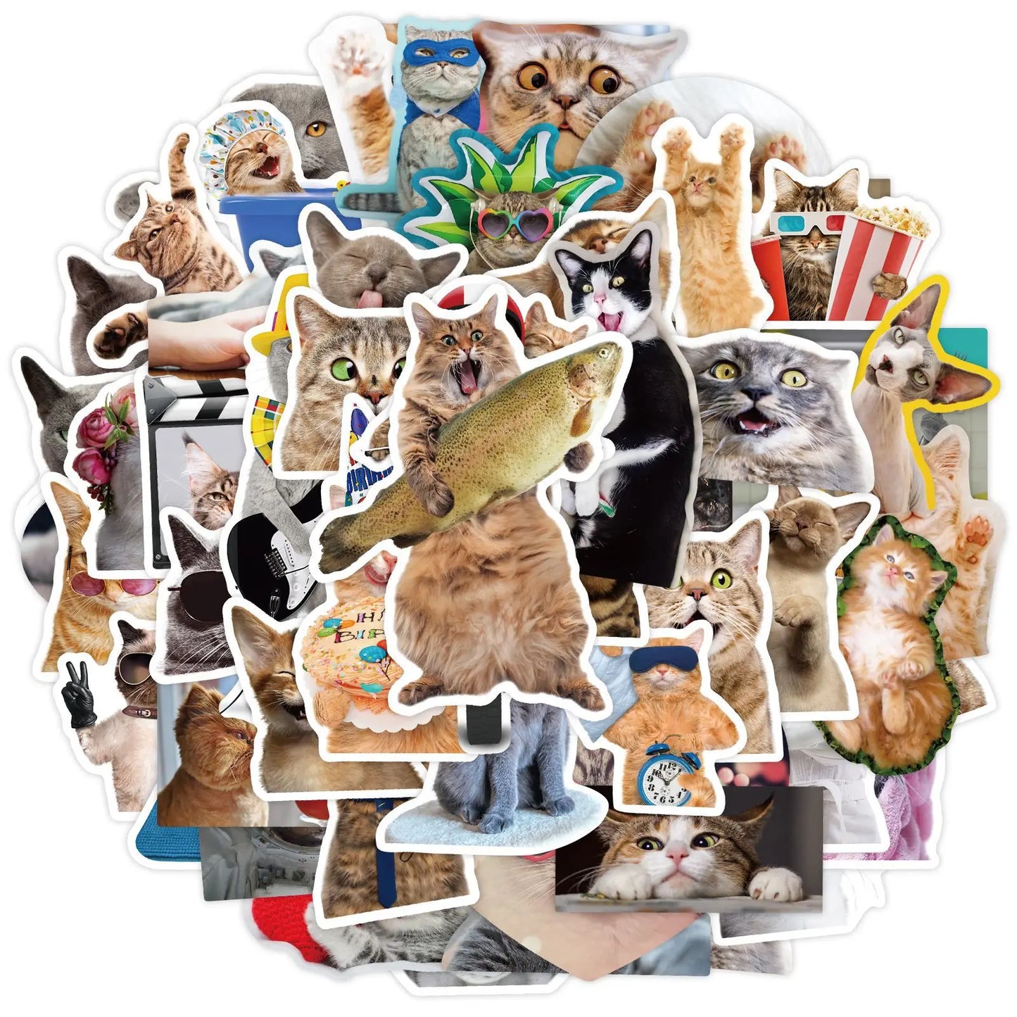 Funny Cat Stickers