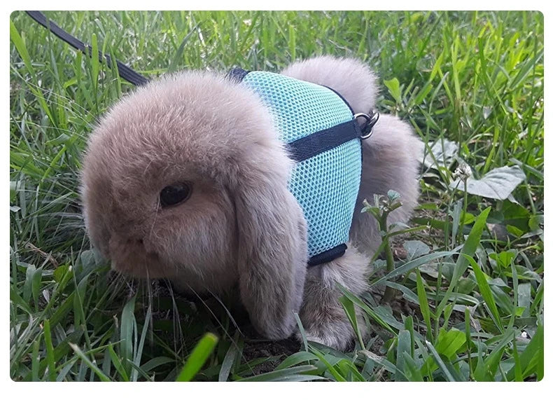 Mutil-Colors Breathable Stylish Vest for Pets