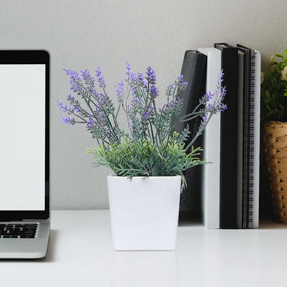 Lavender plant decoration