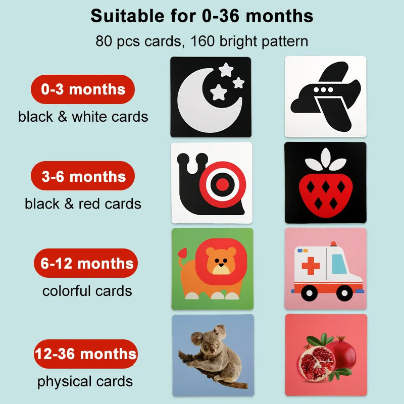 Baby Visual Stimulation Cards