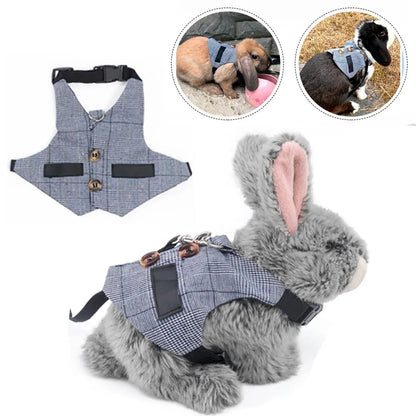 Cute Rabbit Harness and Leash Set