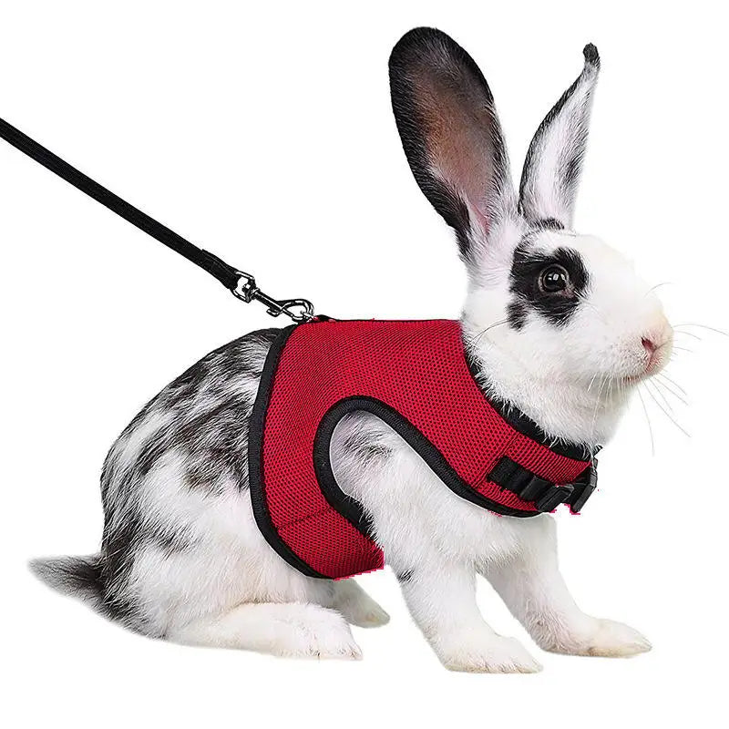 Mutil-Colors Breathable Stylish Vest for Pets