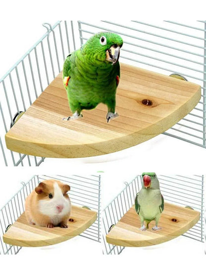 Fan-shaped Bird Parrot Wooden Stand