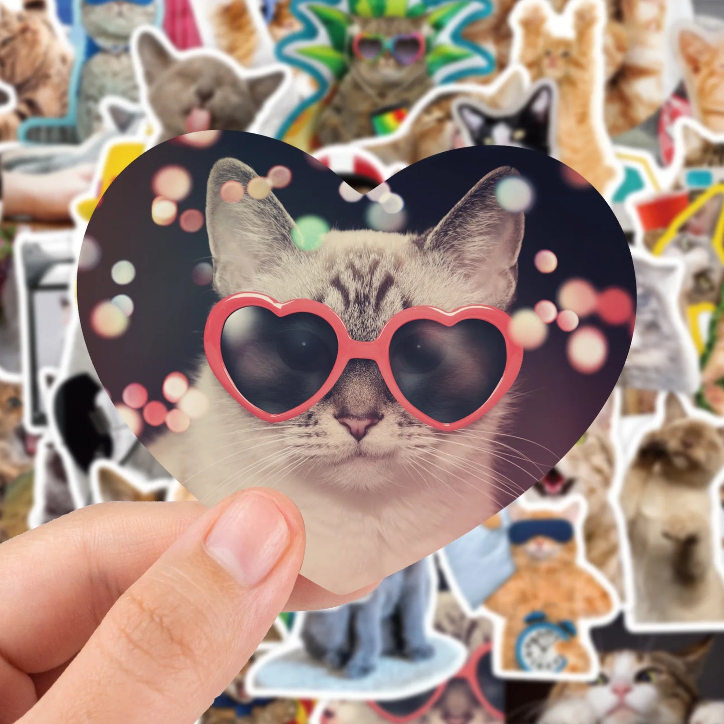 Funny Cat Stickers