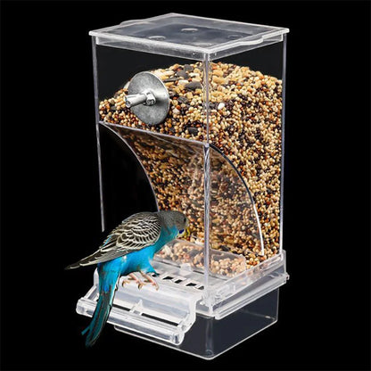 Bird Feeders